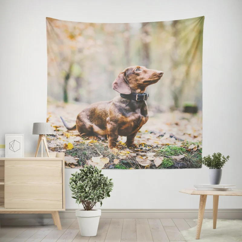 Dachshund Delight  Fourfold Quartet Wall Tapestry