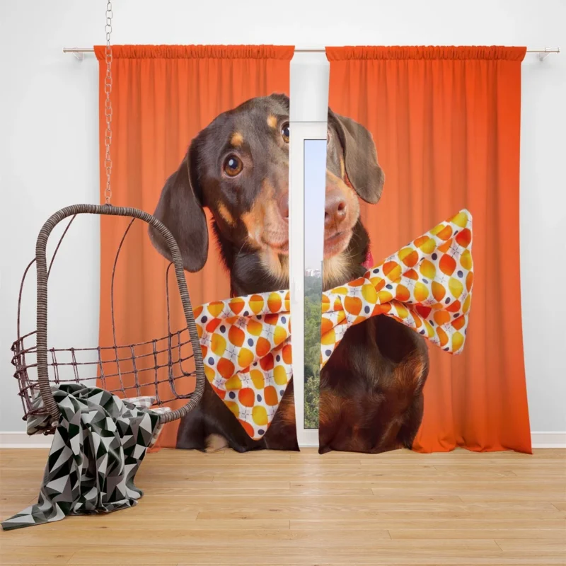 Dachshund Snow Delight: Fourfold Quartet Window Curtain