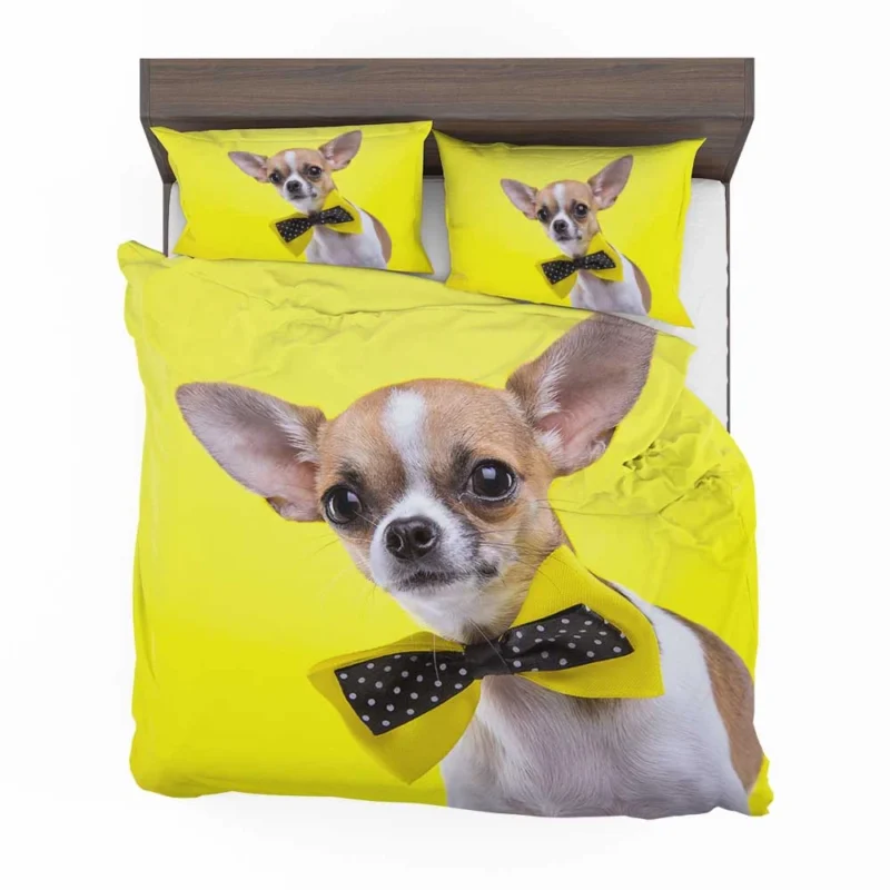 Dainty and Delightful: Chihuahua Quartet Bedding Set 1