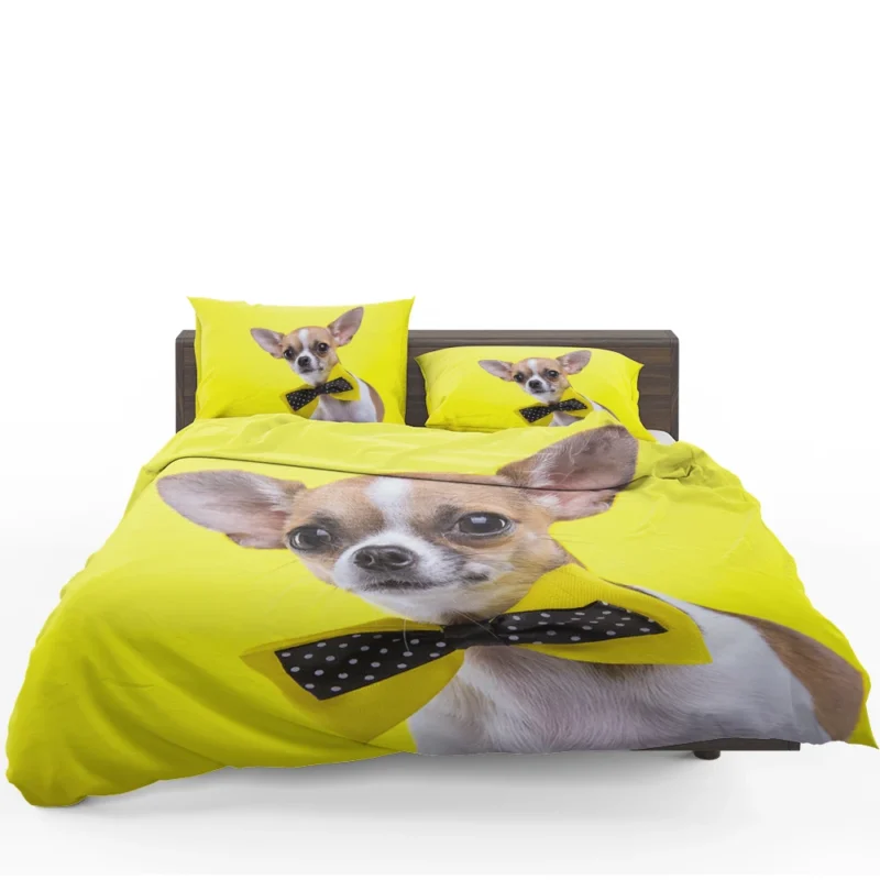 Dainty and Delightful: Chihuahua Quartet Bedding Set