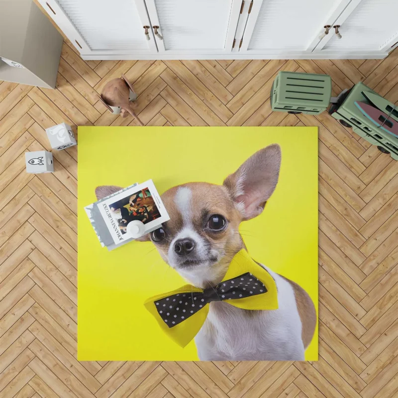 Dainty and Delightful: Chihuahua Quartet Floor Rug