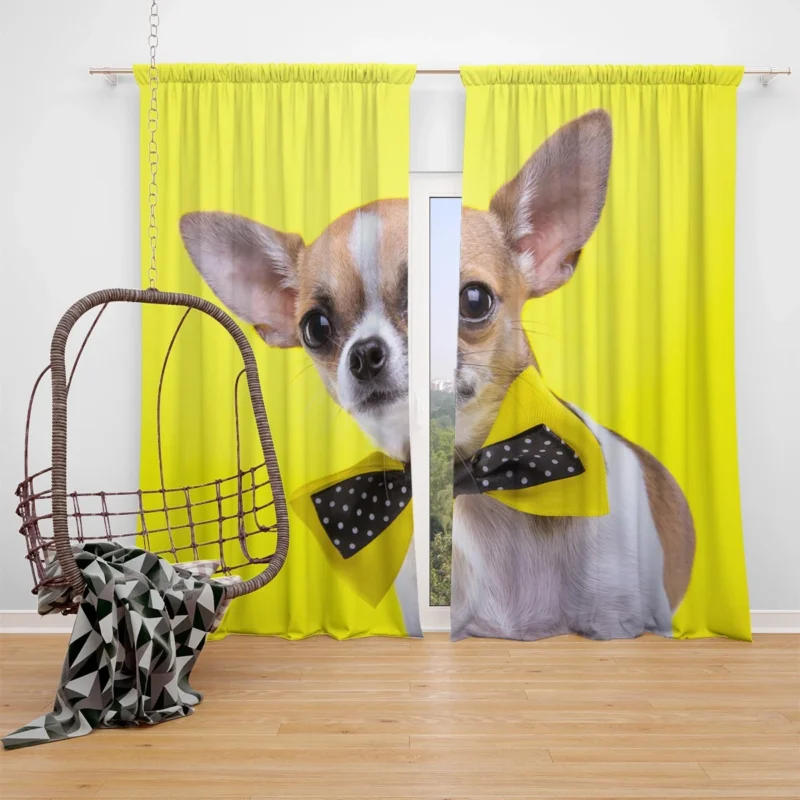 Dainty and Delightful: Chihuahua Quartet Window Curtain