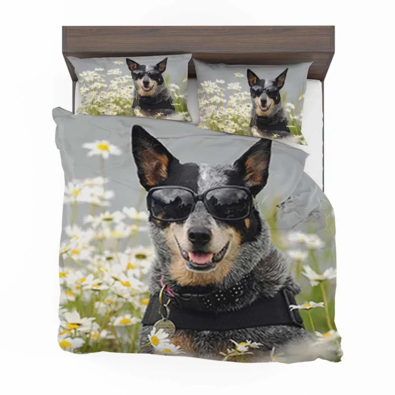 Daisy Flower in Sunglasses: Australian Cattle Dog Bedding Set 1