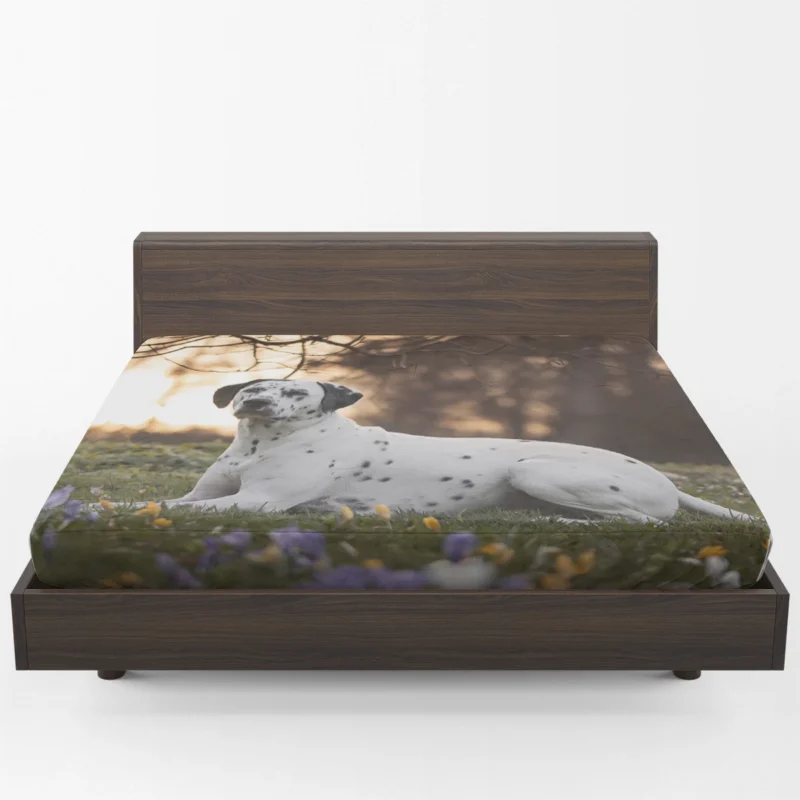 Dalmatian Amongst Crocus Flowers: Dalmatian Quartet Fitted Sheet 1