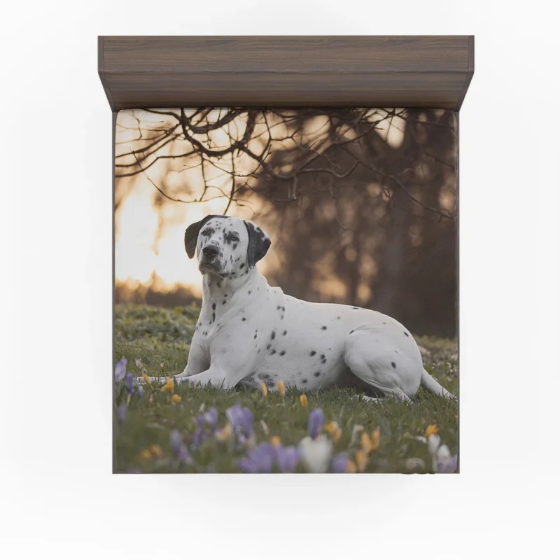 Dalmatian Amongst Crocus Flowers: Dalmatian Quartet Fitted Sheet