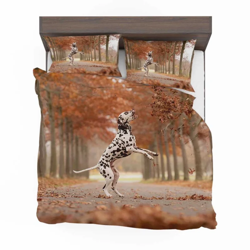 Dalmatian Enjoying Fall: Dalmatian Quartet Bedding Set 1