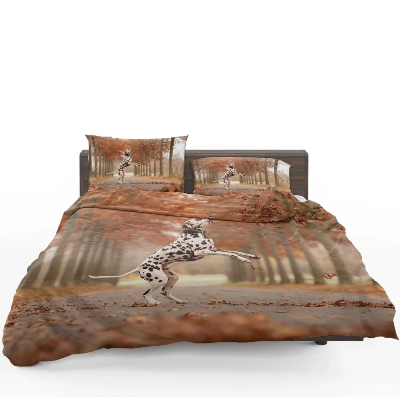 Dalmatian Enjoying Fall: Dalmatian Quartet Bedding Set