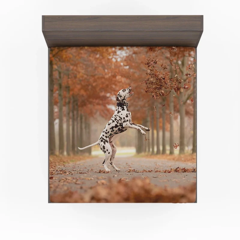 Dalmatian Enjoying Fall: Dalmatian Quartet Fitted Sheet