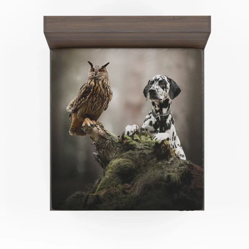 Dalmatian with an Owl: Dalmatian Quartet Fitted Sheet