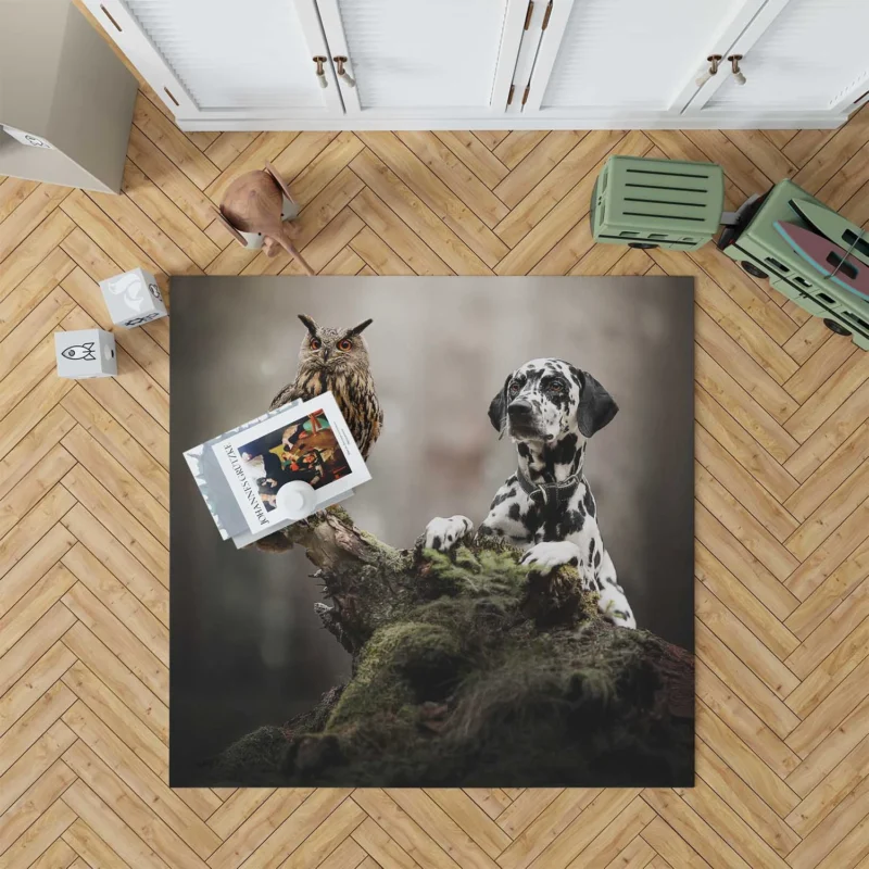 Dalmatian with an Owl: Dalmatian Quartet Floor Rug