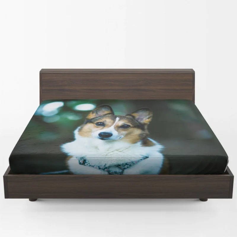 Delightful Corgi Quartet: Fourfold Joy Fitted Sheet 1