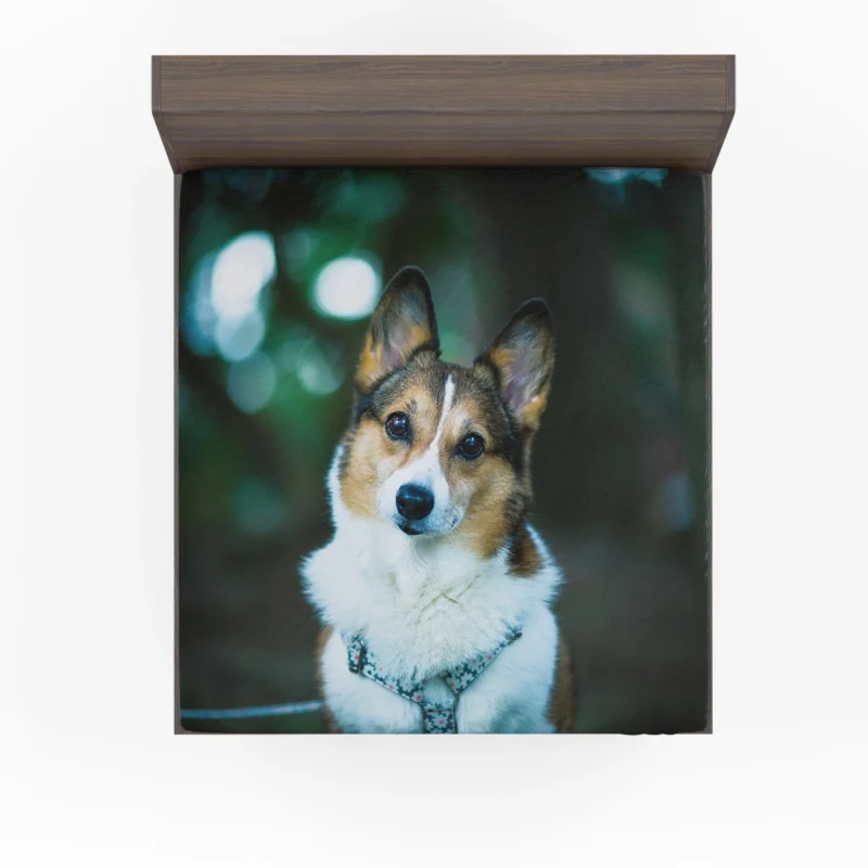 Delightful Corgi Quartet: Fourfold Joy Fitted Sheet