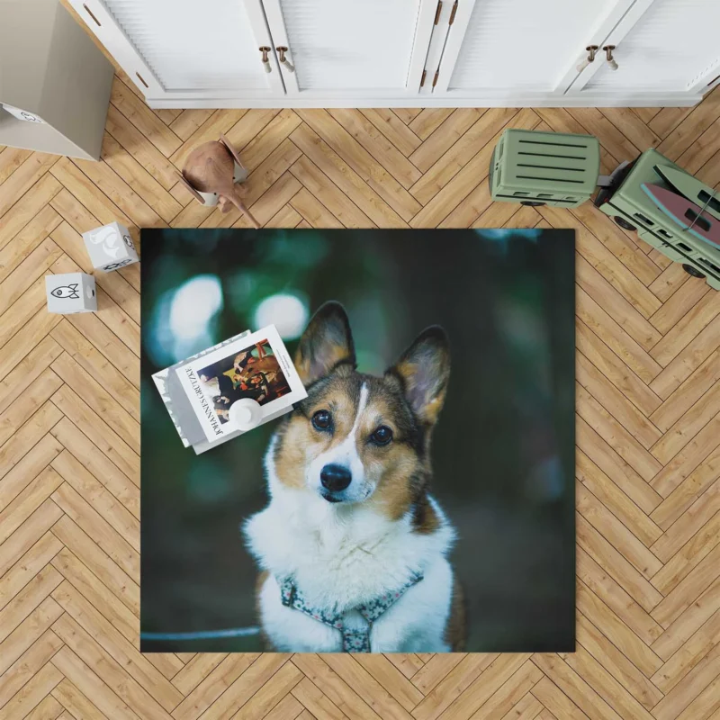 Delightful Corgi Quartet: Fourfold Joy Floor Rug