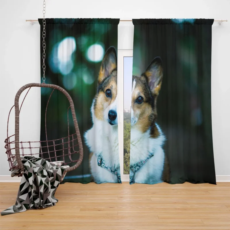 Delightful Corgi Quartet: Fourfold Joy Window Curtain