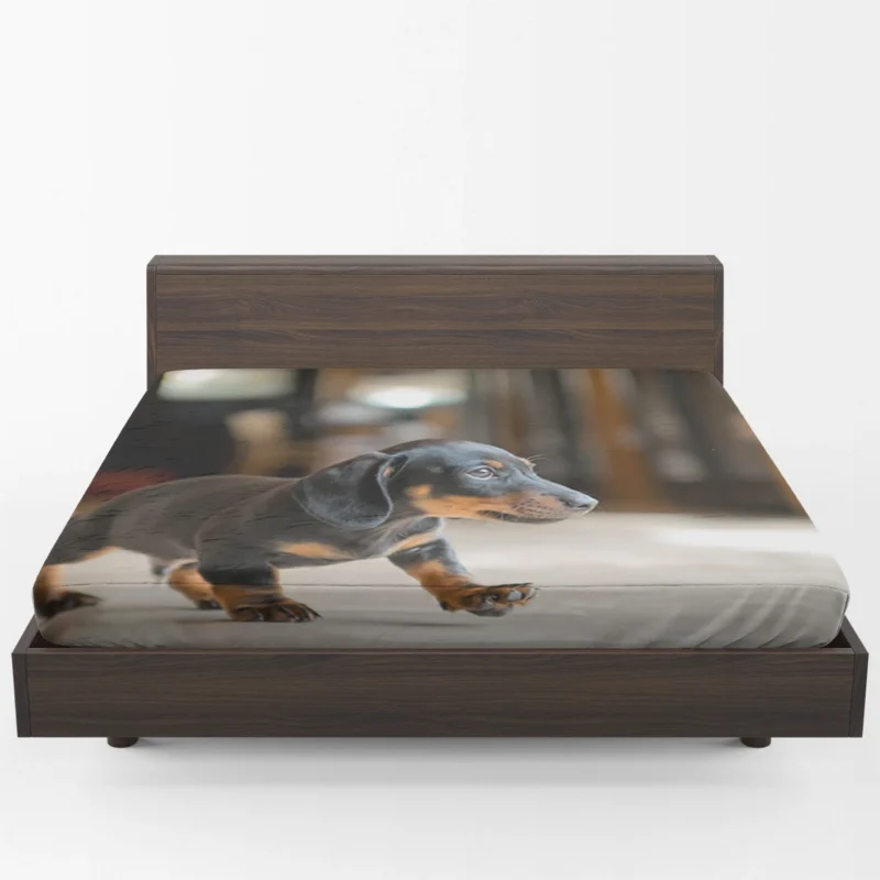 Delightful Dachshund Quartet: Fourfold Joy Fitted Sheet 1