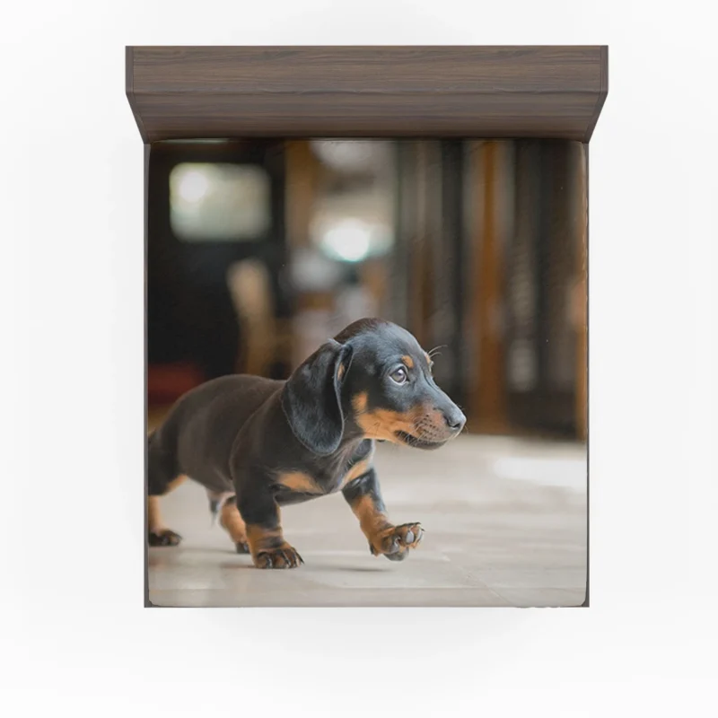 Delightful Dachshund Quartet: Fourfold Joy Fitted Sheet