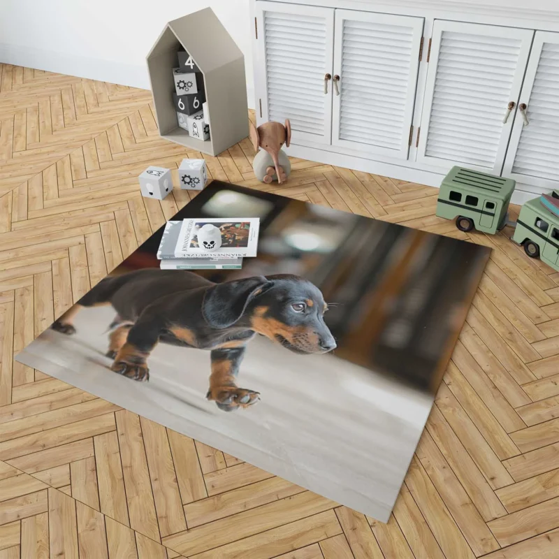 Delightful Dachshund Quartet: Fourfold Joy Floor Rug 1