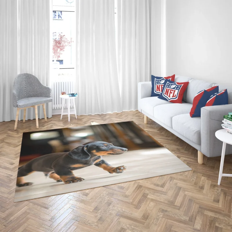 Delightful Dachshund Quartet: Fourfold Joy Floor Rug 2