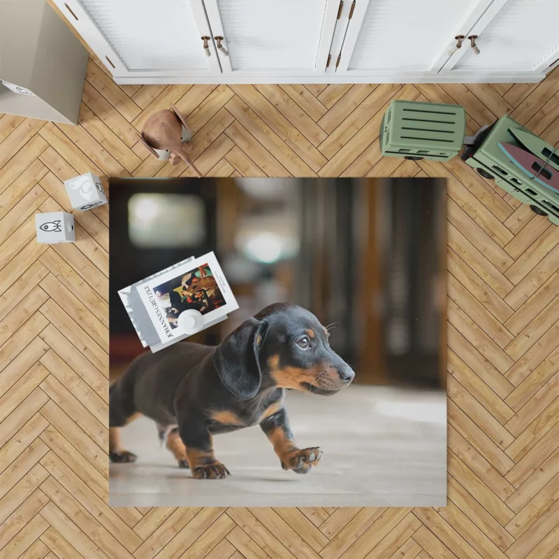 Delightful Dachshund Quartet: Fourfold Joy Floor Rug