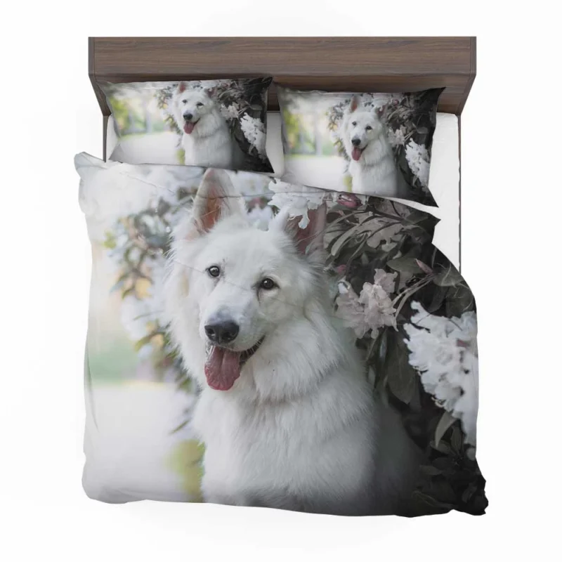 Depth Of Field Beauty: Berger Blanc Suisse Bedding Set 1