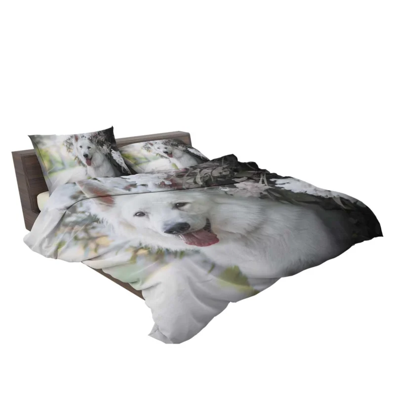 Depth Of Field Beauty: Berger Blanc Suisse Bedding Set 2