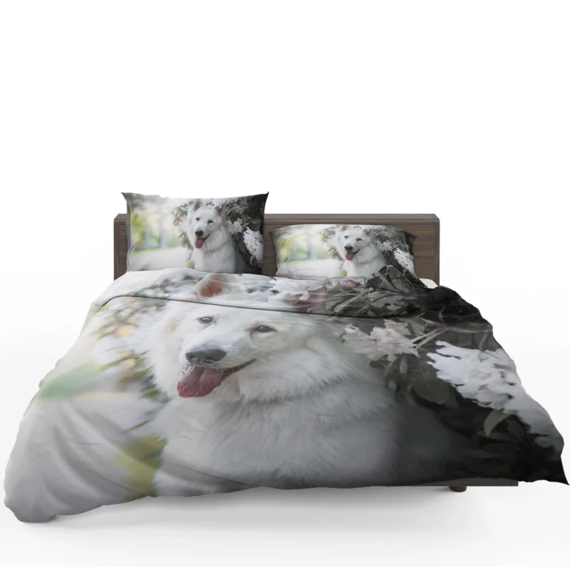 Depth Of Field Beauty: Berger Blanc Suisse Bedding Set