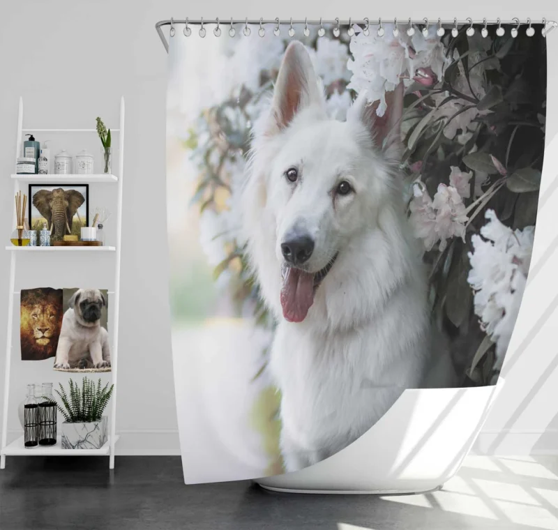 Depth Of Field Beauty: Berger Blanc Suisse Shower Curtain