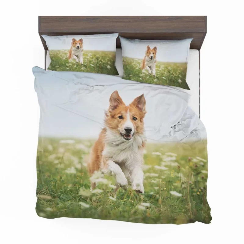 Depth Of Field Beauty in the Field with Border Collie Bedding Set 1