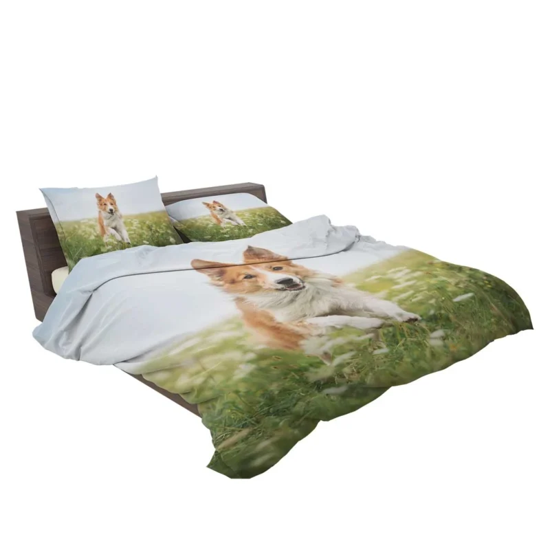 Depth Of Field Beauty in the Field with Border Collie Bedding Set 2