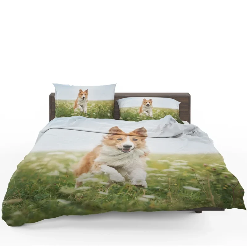 Depth Of Field Beauty in the Field with Border Collie Bedding Set