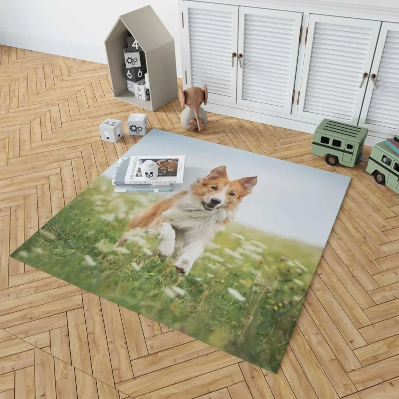 Depth Of Field Beauty in the Field with Border Collie Floor Rug 1