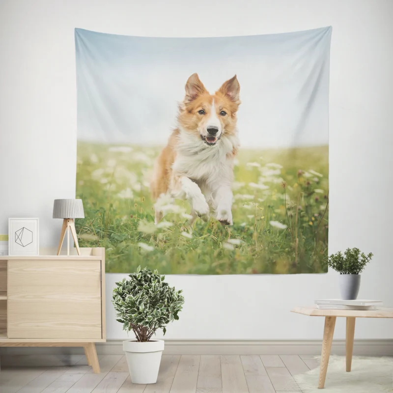 Depth Of Field Beauty in the Field with Border Collie Wall Tapestry