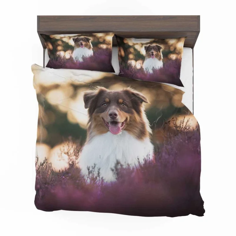 Depth Of Field Beauty with Lavender: Australian Shepherd Bedding Set 1