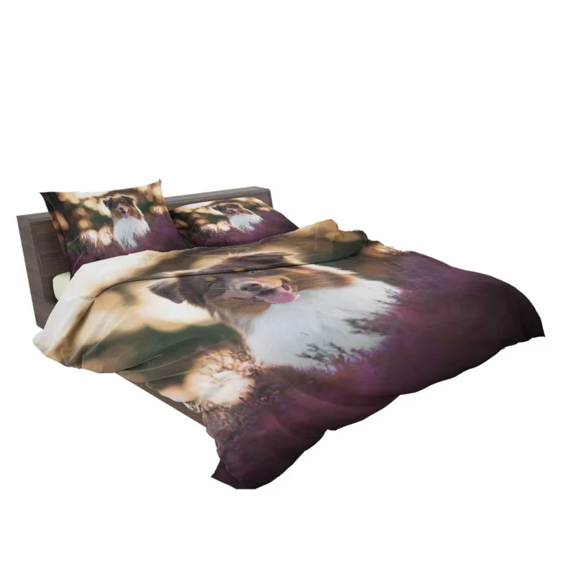 Depth Of Field Beauty with Lavender: Australian Shepherd Bedding Set 2