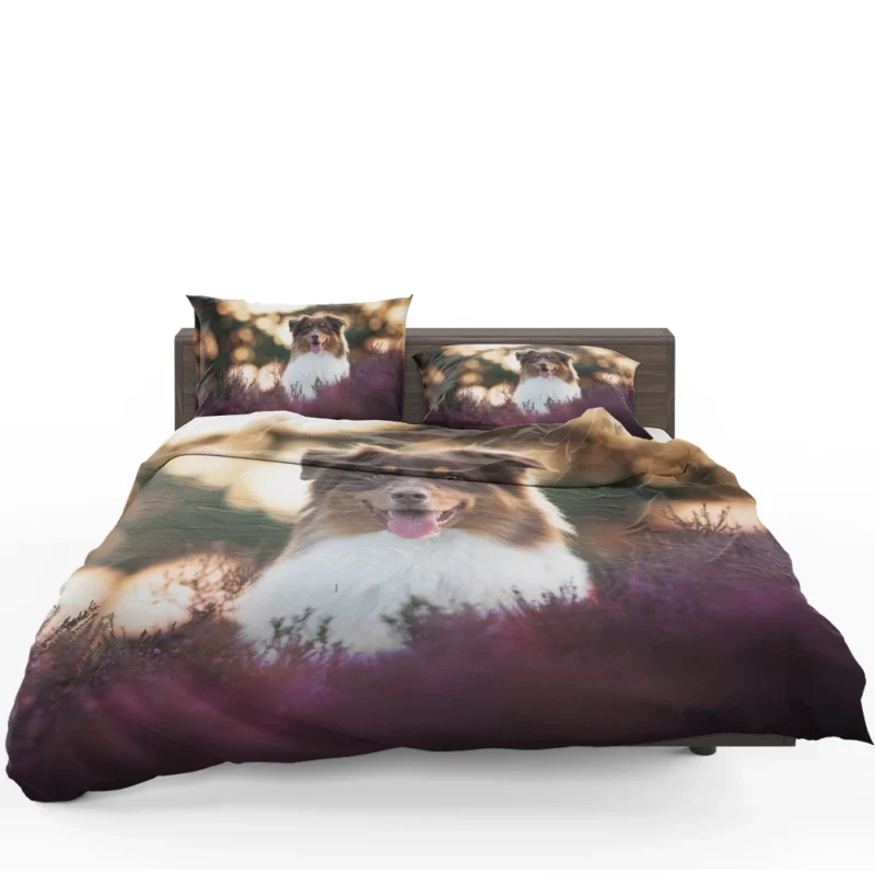 Depth Of Field Beauty with Lavender: Australian Shepherd Bedding Set