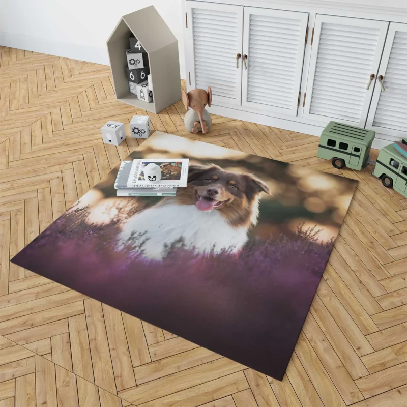 Depth Of Field Beauty with Lavender: Australian Shepherd Floor Rug 1