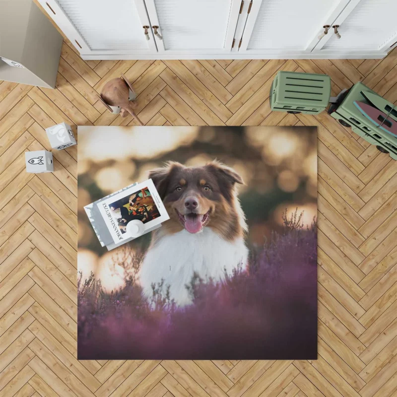 Depth Of Field Beauty with Lavender: Australian Shepherd Floor Rug