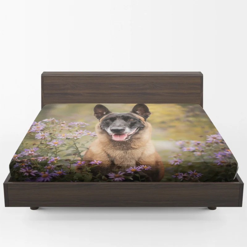 Depth Of Field Beauty with Purple Flower: Belgian Malinois Fitted Sheet 1