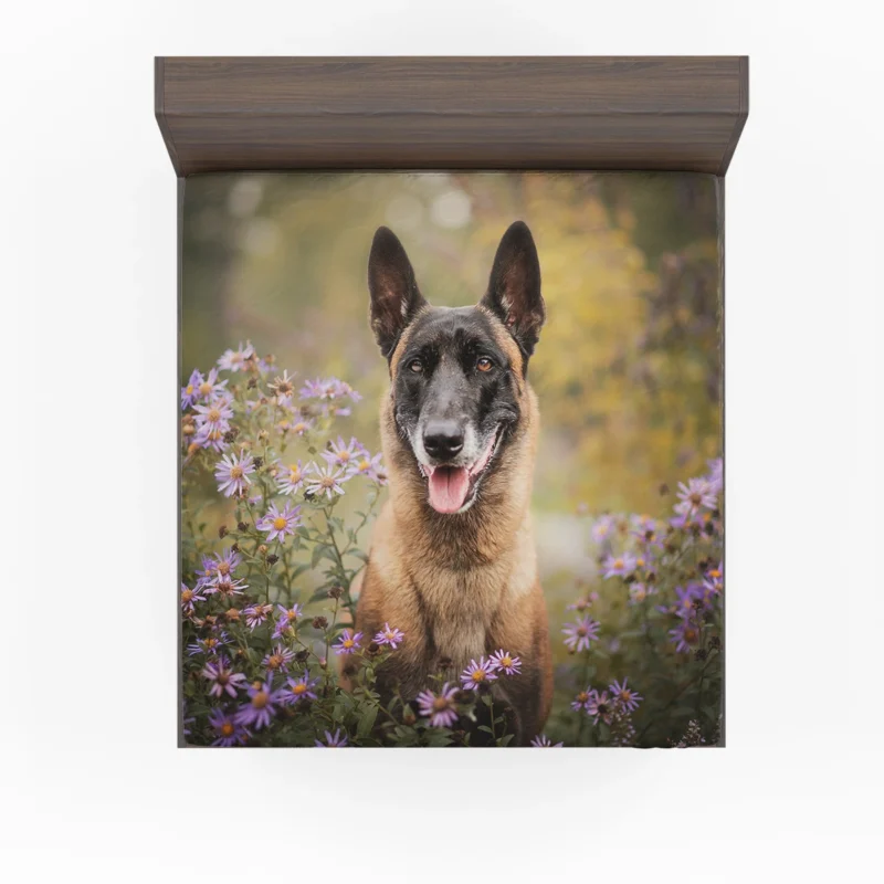 Depth Of Field Beauty with Purple Flower: Belgian Malinois Fitted Sheet