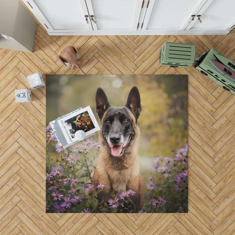 Depth Of Field Beauty with Purple Flower: Belgian Malinois Floor Rug