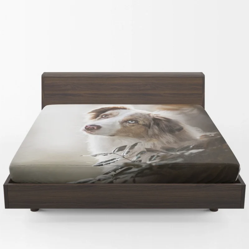 Depth Of Field Canine Elegance: Australian Shepherd Fitted Sheet 1