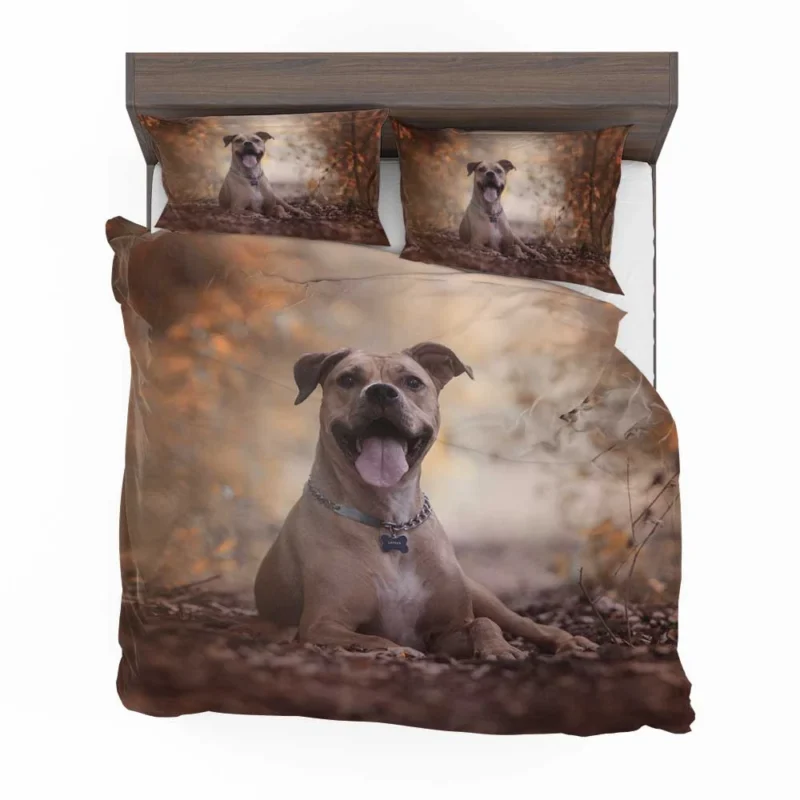 Depth of Beauty: American Pit Bull Terrier Quartet Bedding Set 1