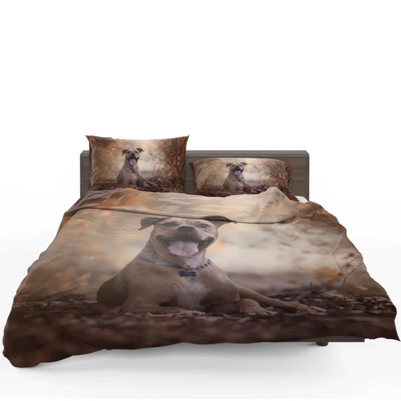 Depth of Beauty: American Pit Bull Terrier Quartet Bedding Set