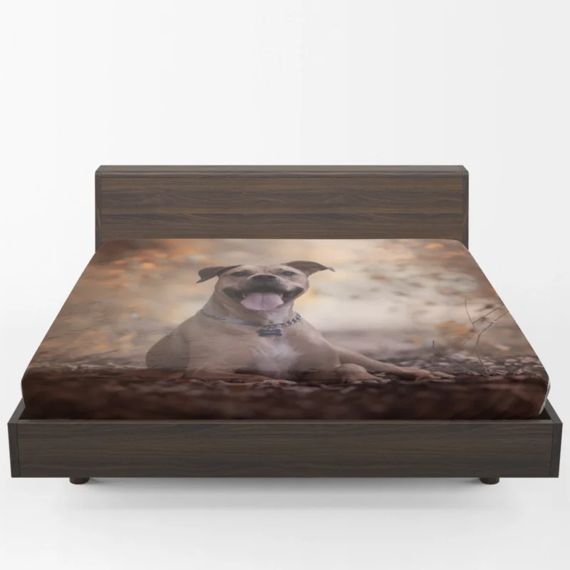 Depth of Beauty: American Pit Bull Terrier Quartet Fitted Sheet 1