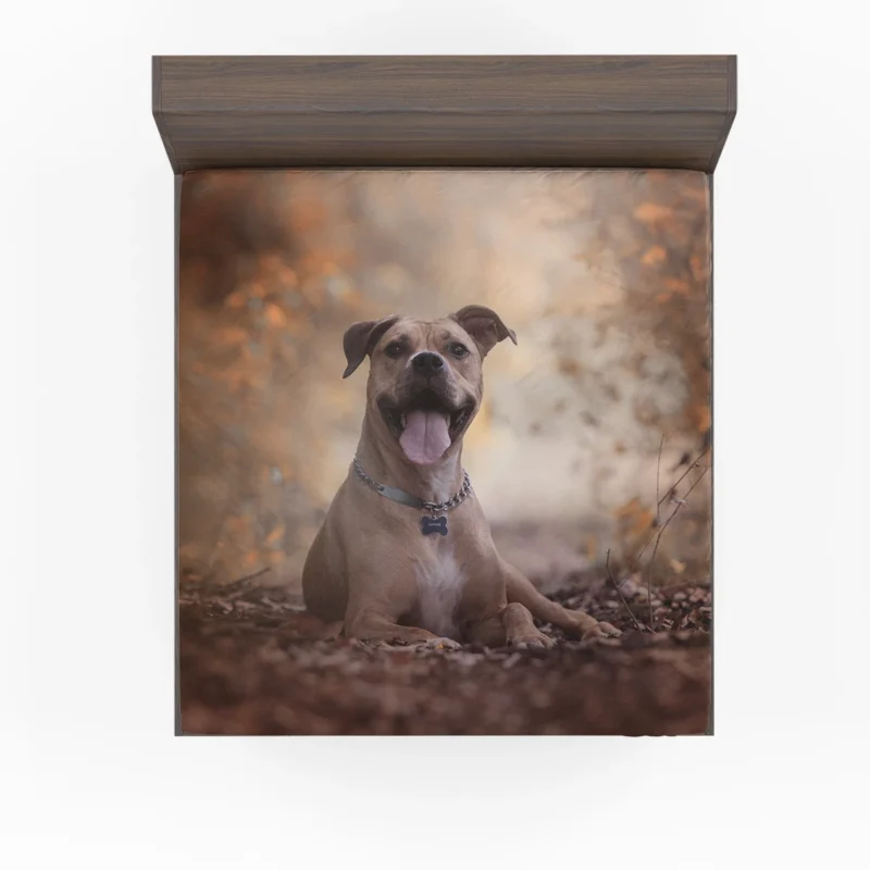 Depth of Beauty: American Pit Bull Terrier Quartet Fitted Sheet