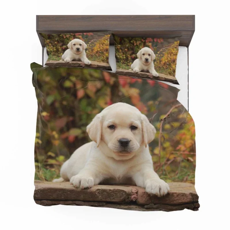 Depth of Canine Cuteness: Labrador Puppy Quartet Bedding Set 1