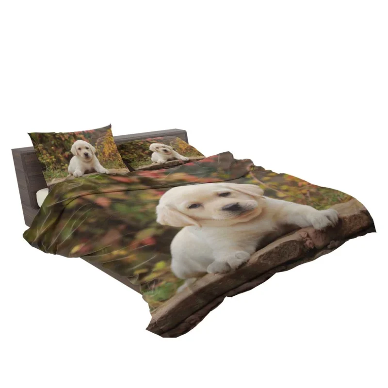 Depth of Canine Cuteness: Labrador Puppy Quartet Bedding Set 2