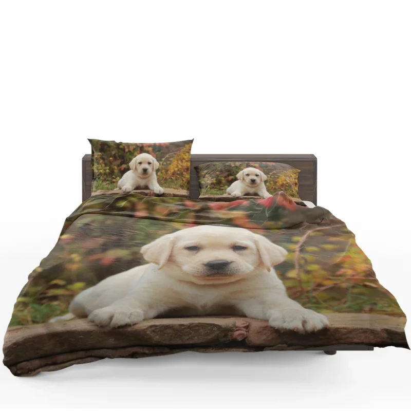 Depth of Canine Cuteness: Labrador Puppy Quartet Bedding Set