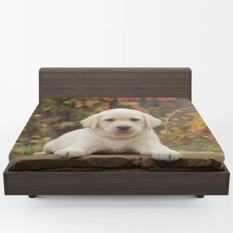 Depth of Canine Cuteness: Labrador Puppy Quartet Fitted Sheet 1