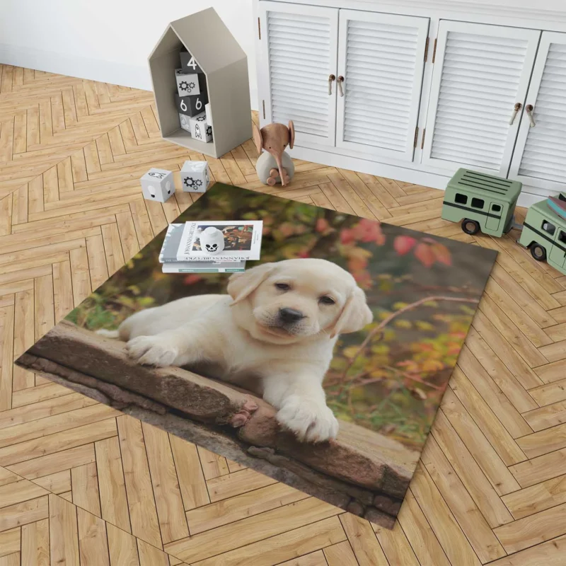 Depth of Canine Cuteness: Labrador Puppy Quartet Floor Rug 1